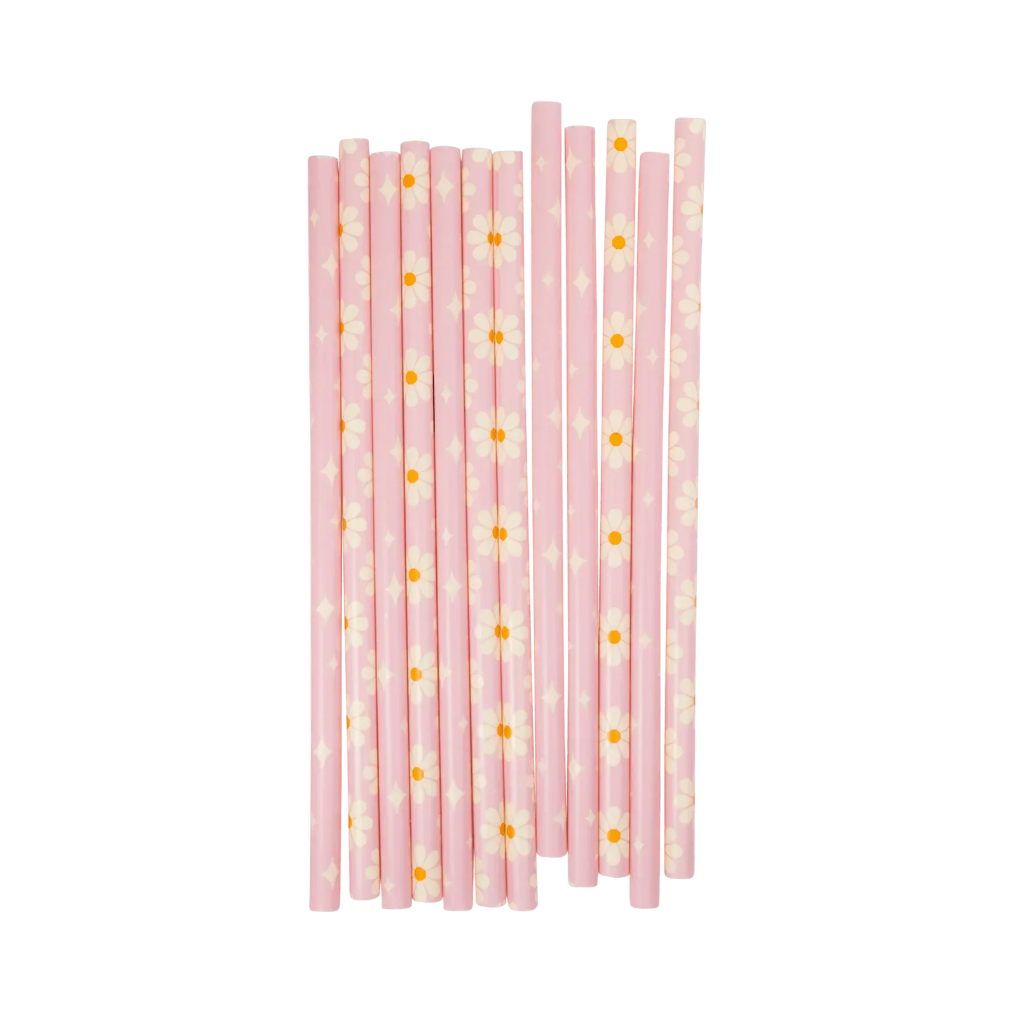 Disco Daisy Reusable Straws (x12)