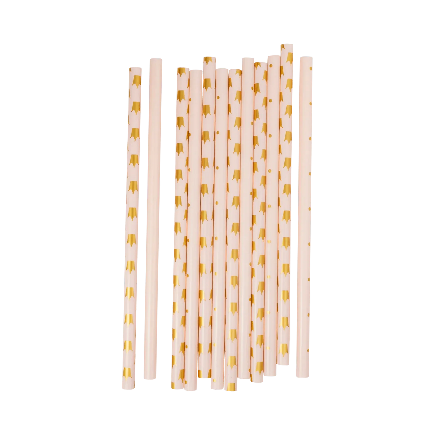 Princess Reusable Straws (x12)
