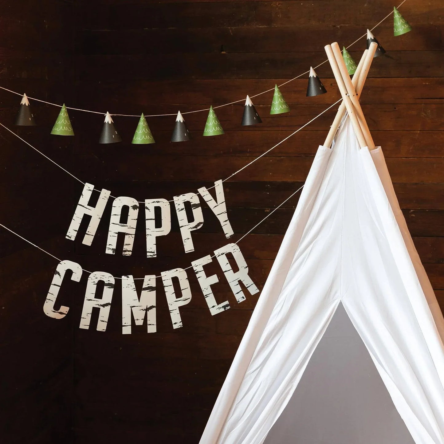 My Minds Eye Adventure Mountain and Tree Cone Banner - partyalacarte.co.in