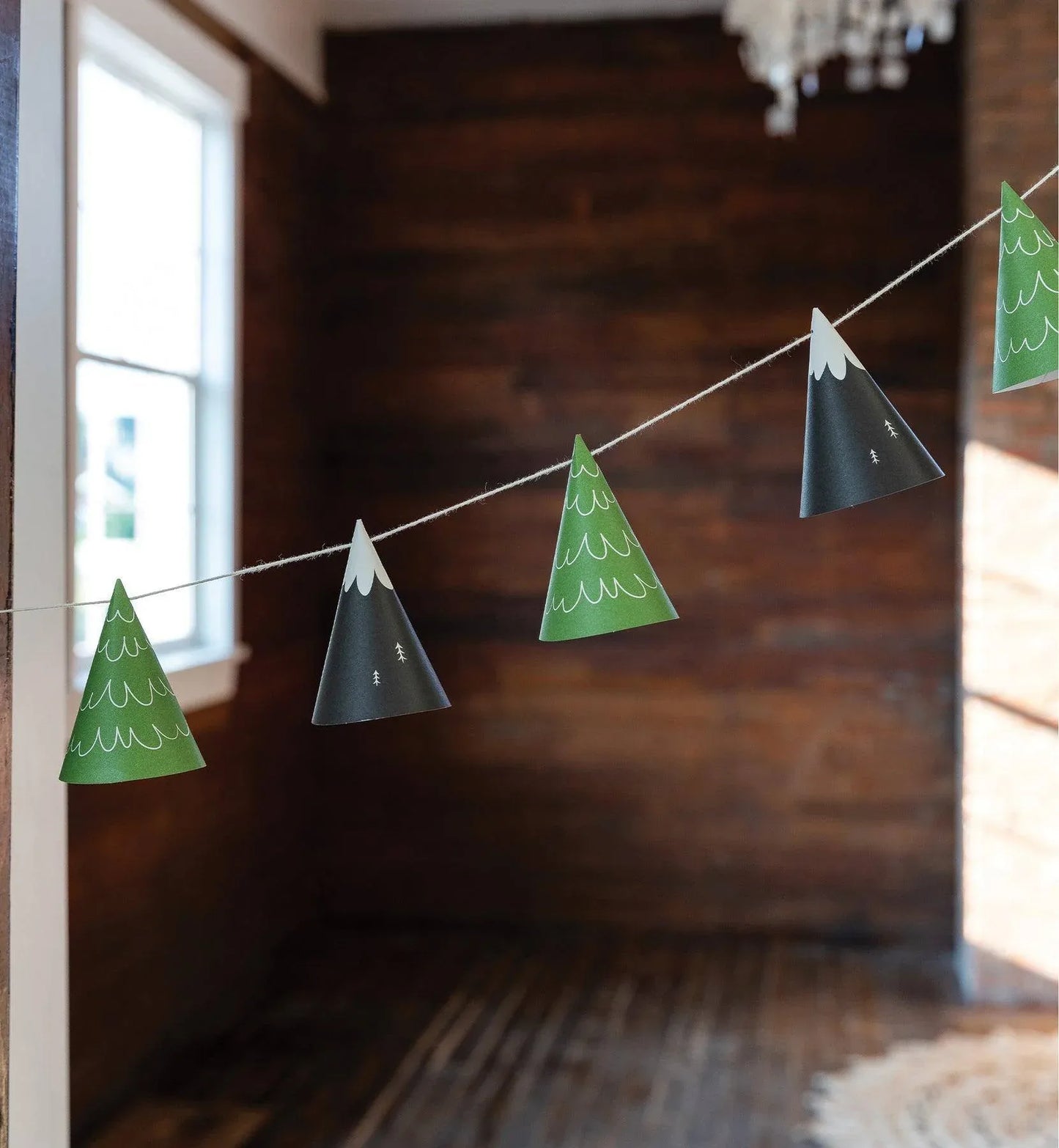My Minds Eye Adventure Mountain and Tree Cone Banner - partyalacarte.co.in