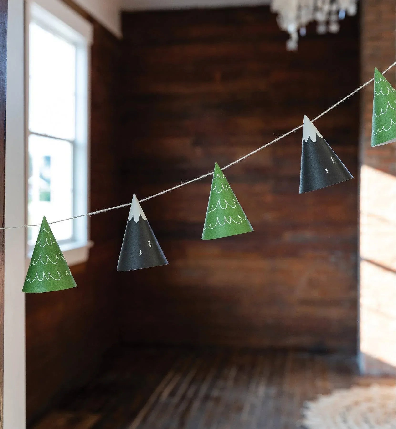 My Minds Eye Adventure Mountain and Tree Cone Banner - partyalacarte.co.in