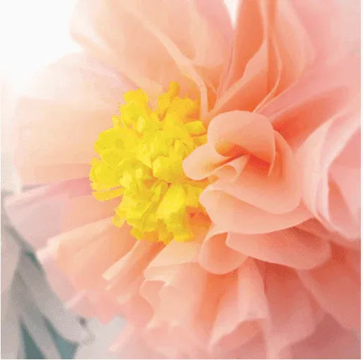 Meri Meri Flowers In Bloom Giant Garland - partyalacarte.co.in