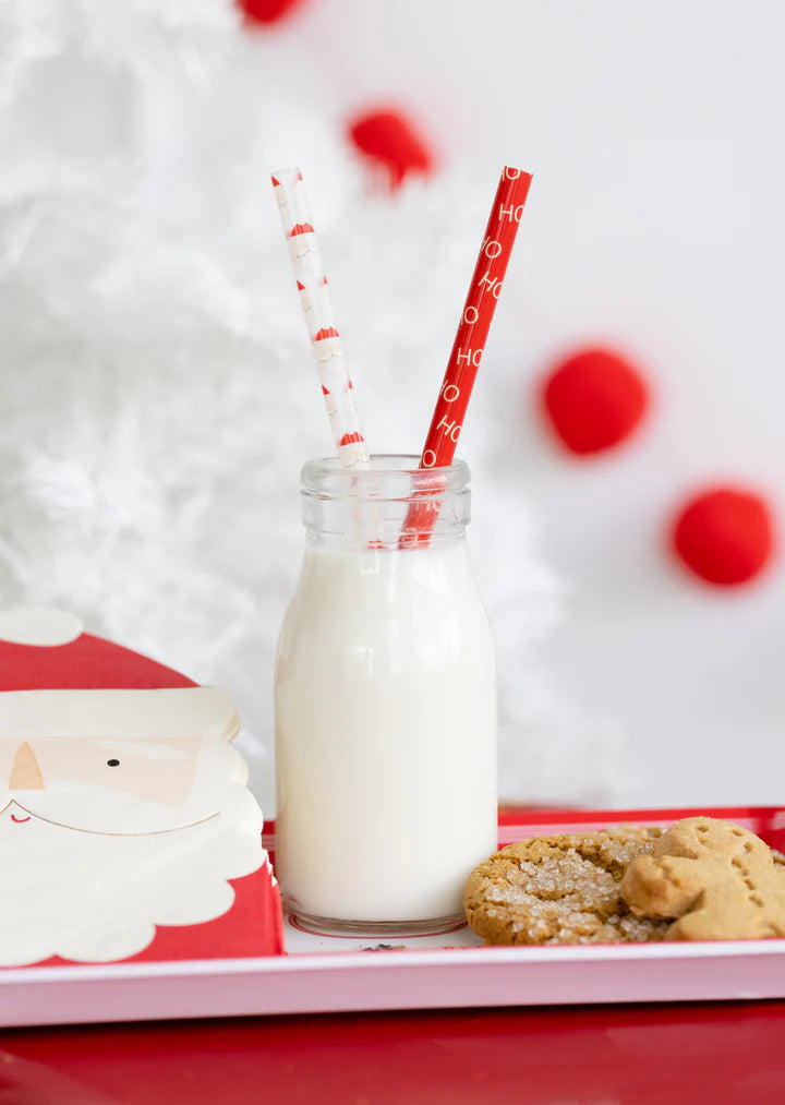 Believe Santa Reusable Straw Set