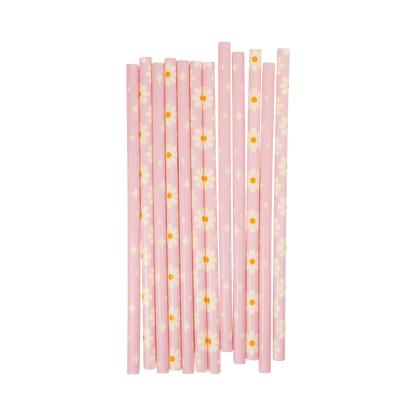 Disco Daisy Reusable Straws (x12)