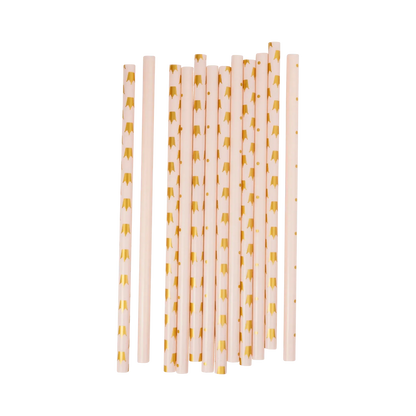 Princess Reusable Straws (x12)