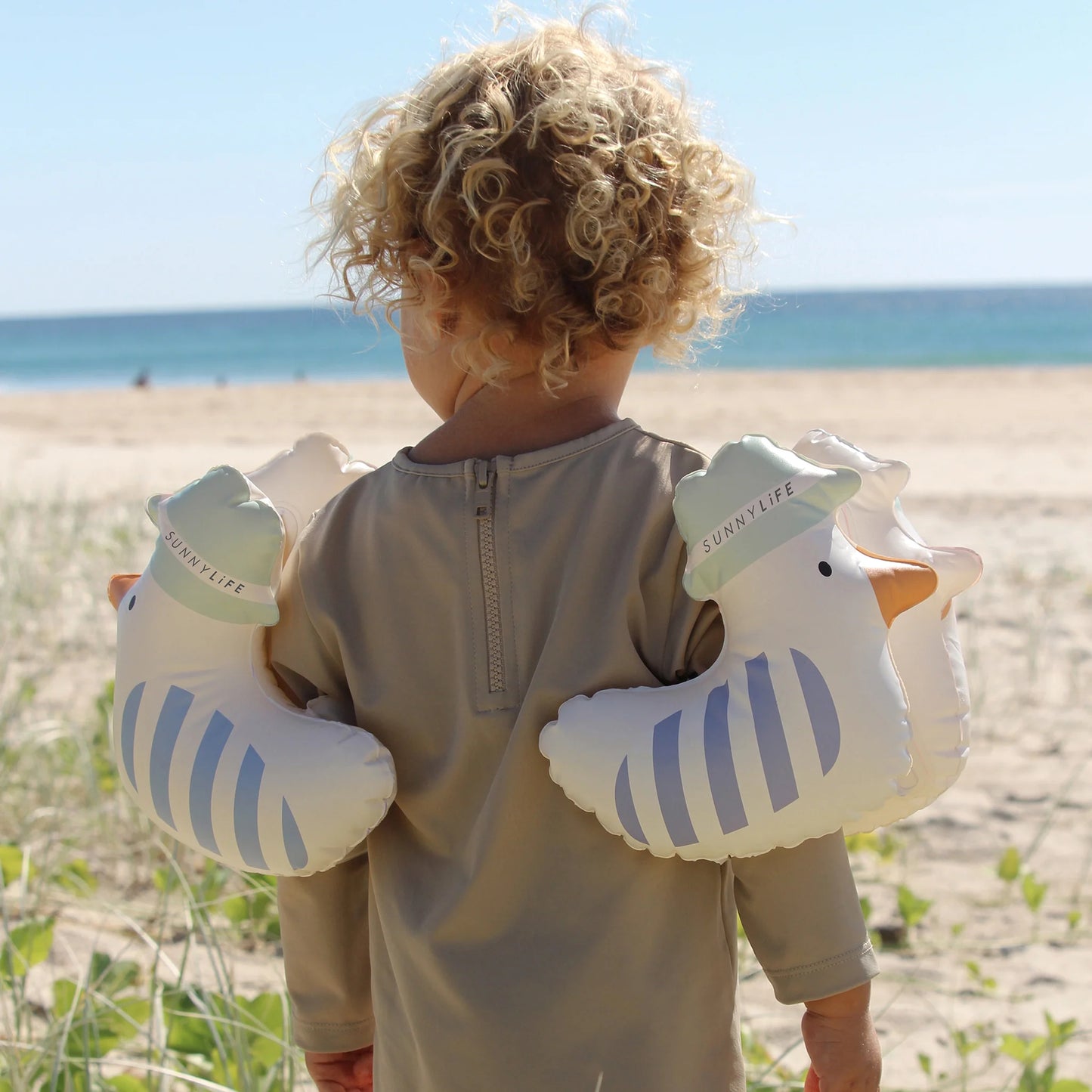 Seagull Blue Stripe Inflatable Arm Bands