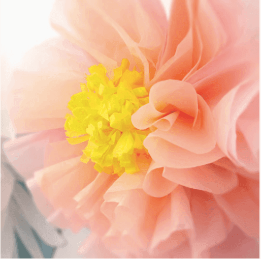 Meri Meri Flowers In Bloom Giant Garland - partyalacarte.co.in
