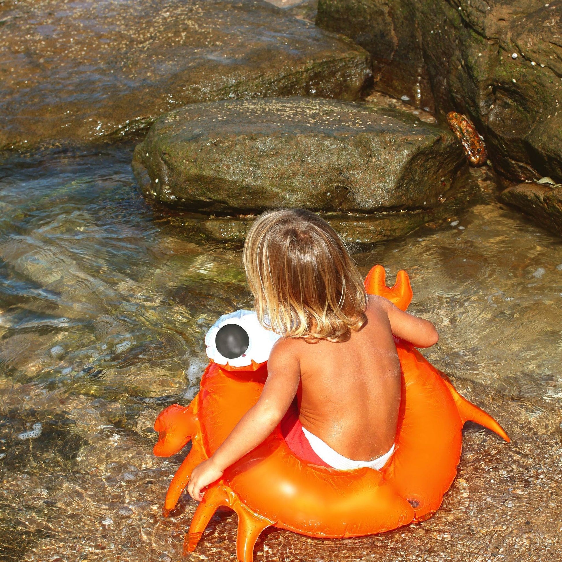 sunnylife Sonny the Sea Creature Kiddy Pool Ring - partyalacarte.co.in
